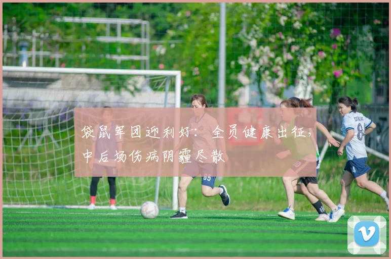 袋鼠军团迎利好：全员健康出征，中后场伤病阴霾尽散