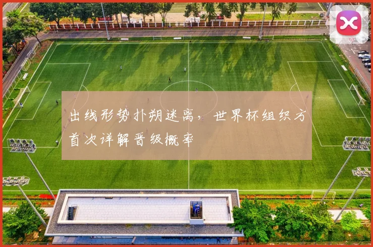 出线形势扑朔迷离，世界杯组织方首次详解晋级概率